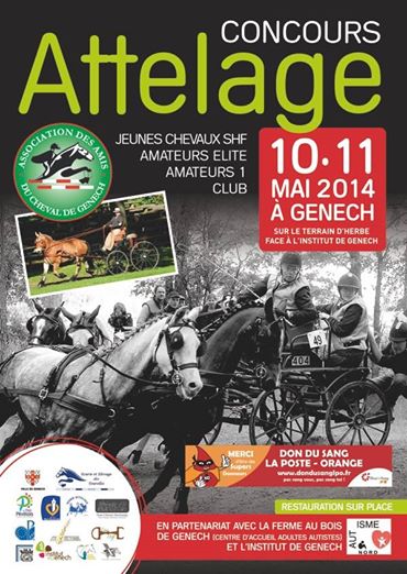 concours attelage