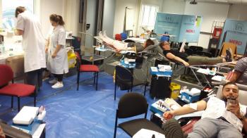 Collecte gonesse 8