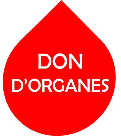 Organes1